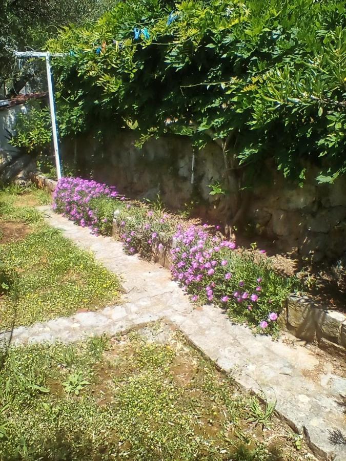 Apartman-Maja-Krk Krk Town Esterno foto